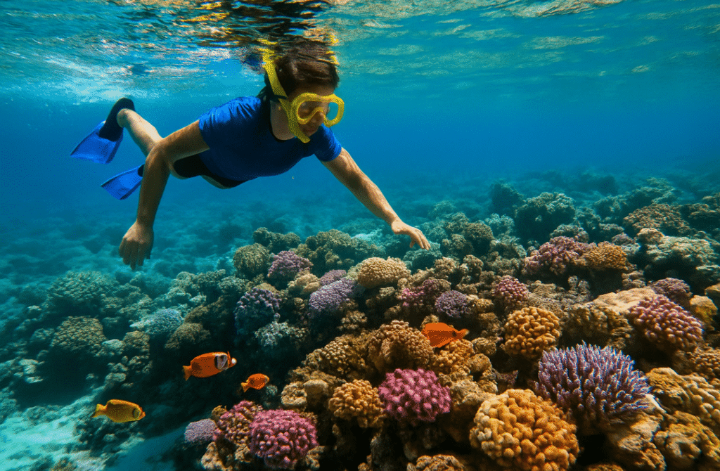 Best time to visit Egypt Red Sea snorkeling summer travel