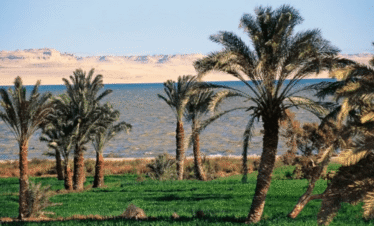 Lake Qaroun Fayoum