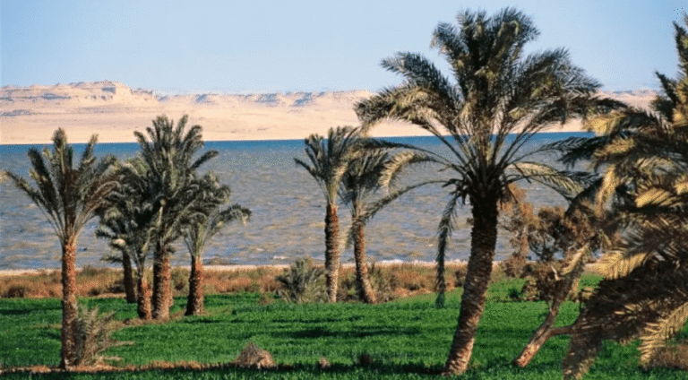 Lake Qaroun Fayoum