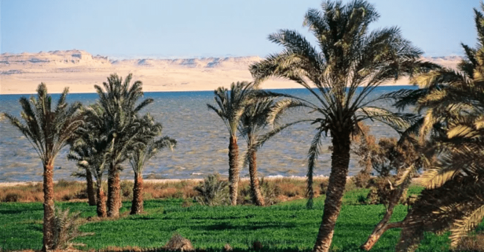 Lake Qaroun Fayoum