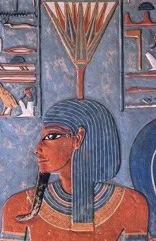 Secrets of the Desert Fragrance Oil — Alcohol-Free (50 ml) - Image 2