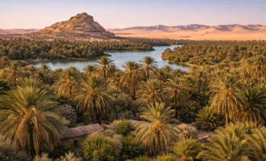 Siwa Oasis palm groves and desert landscape