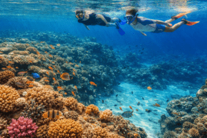 Ras Mohammed National Park coral reef snorkeling
