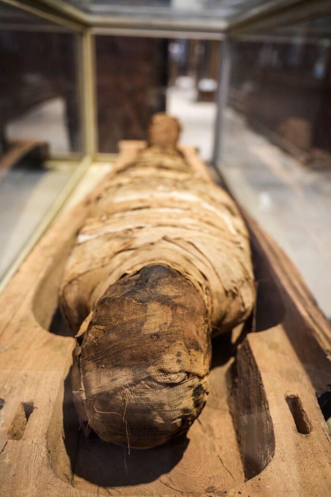 Mummification Museum in Luxor, Egypt