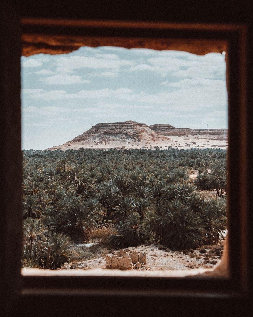 A breathtaking view of Siwa Oasis in Egypt framed by a window, capturing lush palm trees and distant hills.