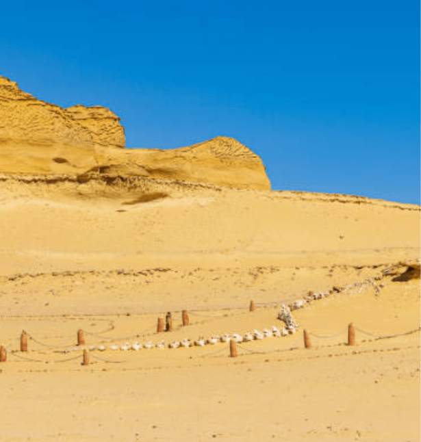wadi al-hitan fayoum egypt