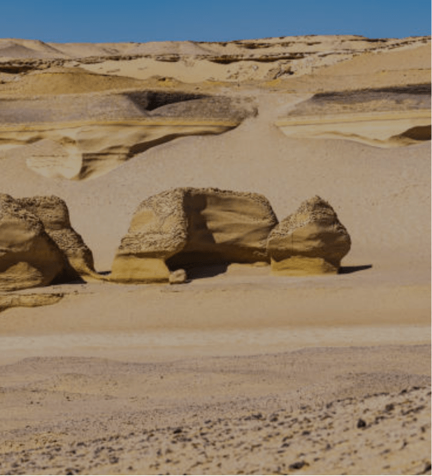 wadi al-hitan fayoum egypt