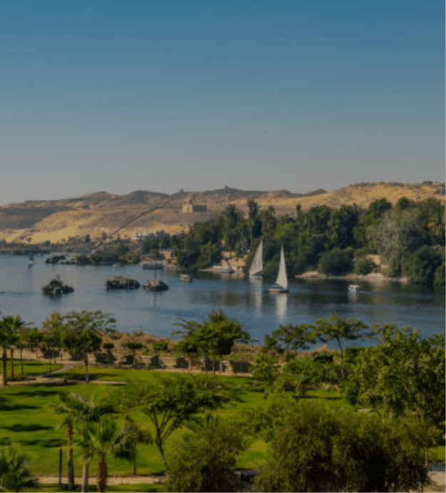 Aerial view of the Nile river with Feluccas (traditional egyptian sailing boats) in Aswan, Egypt