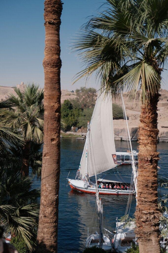afternoon felucca sail around Elephantine Island