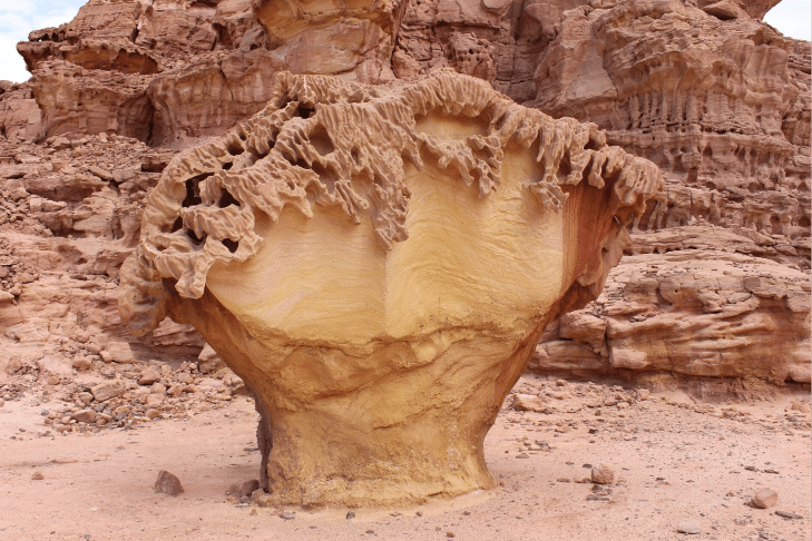 Ain Khudra Oasis near Nuweiba in South Sinai Egypt