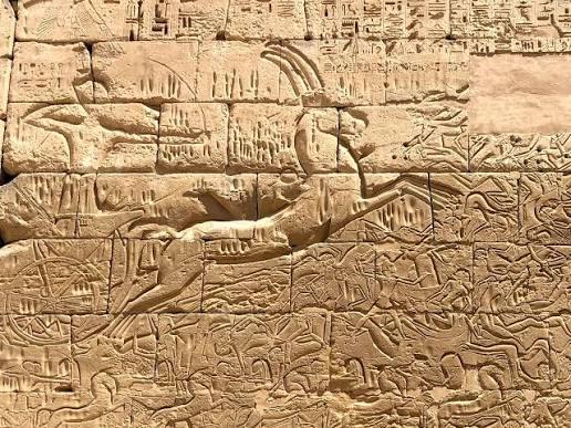 Deeply carved military reliefs of Ramesses III at Medinet Habu.