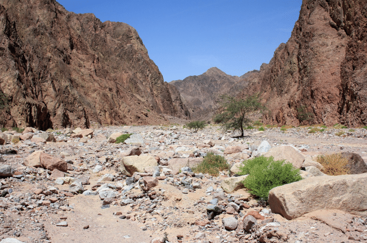 Rocky landscape in Wadi al-Wishwashi South Sinai Egypt