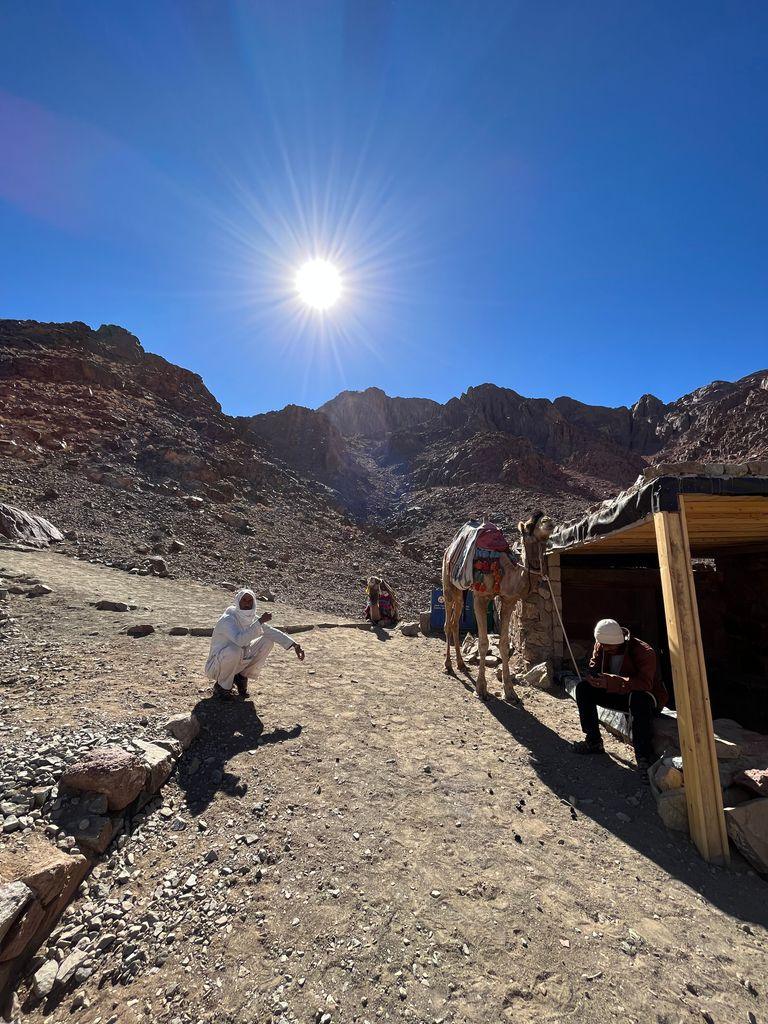 Explore the rugged landscape of Egypt with camels and locals under a bright sun.