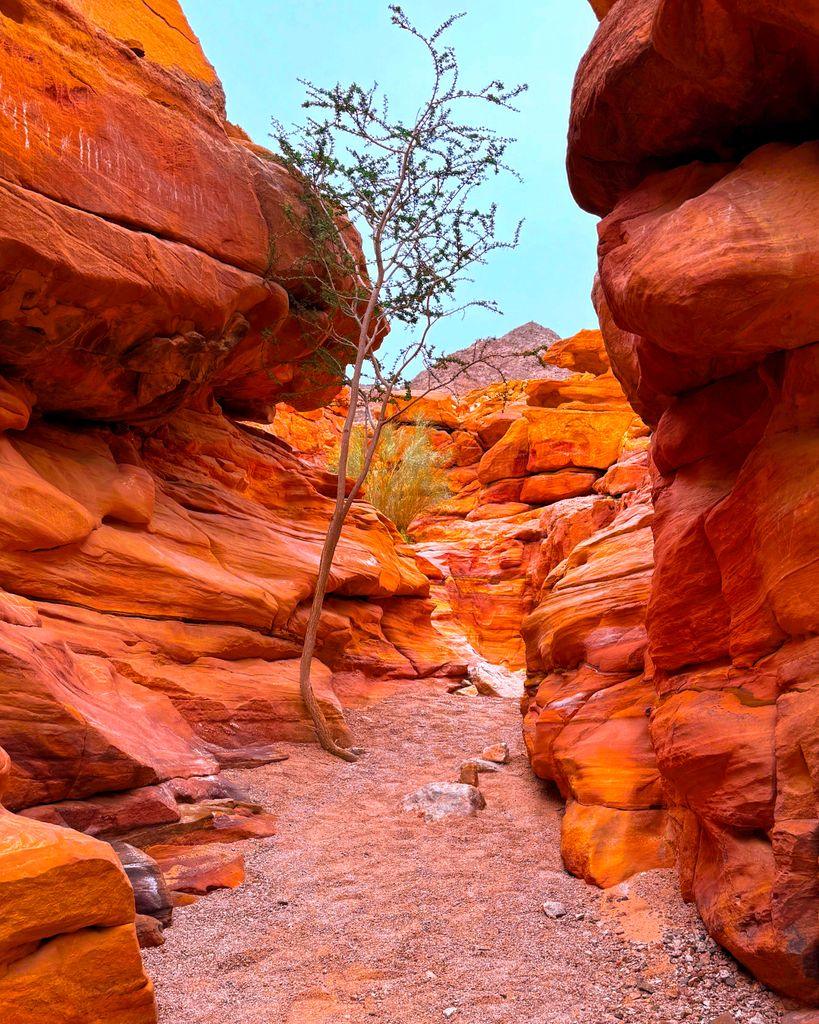 Explore the vivid sandstone formations in Güne Sina, Egypt's rugged landscape.