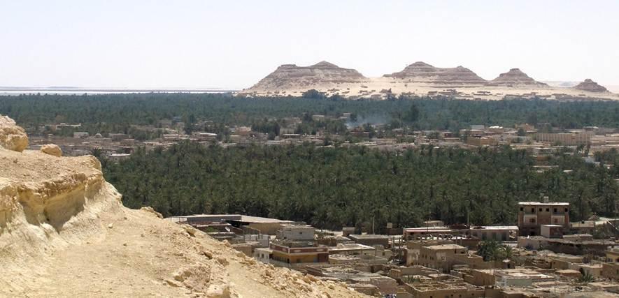 Siwa's palm-filled oasis landscape meets the Western Desert.