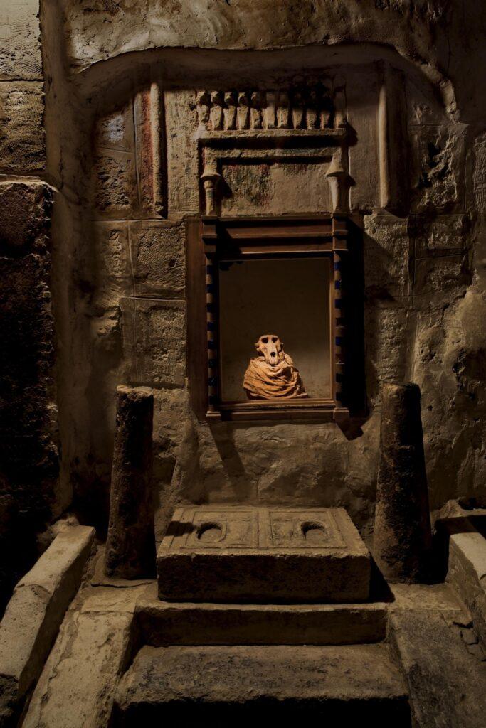 Ancient baboon cult chamber G-C-C-2 within the sacred-animal precinct at Tuna el-Gebel.