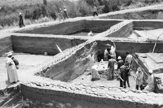 Actual Tell el-Dab'a excavation site